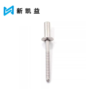新凯益 304不锈钢封闭式抽芯铆钉 M6.4*10 个