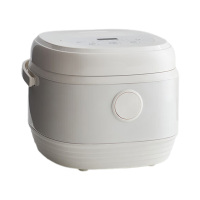 OLAYKS立时电饭煲5L智能控制专项加热OLK-LP-24