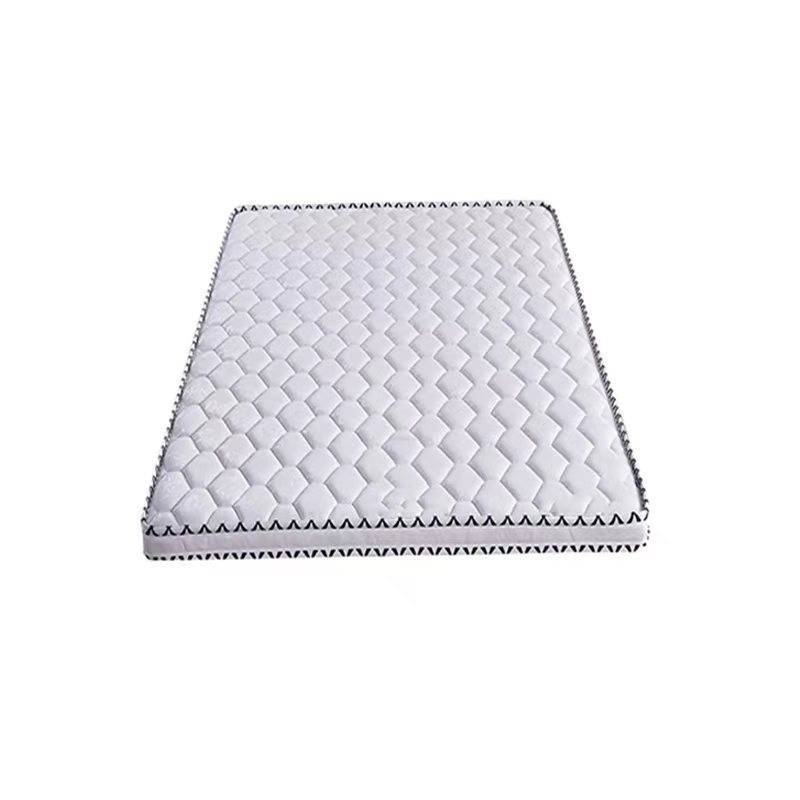 飞唐锦荣 床垫椰棕床垫 FT-BG218 张