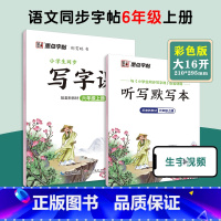 [语文临摹]6年级上册(送听写默写本) 小学六年级 [正版]六年级下册语文字帖练字小学生硬笔书法字帖一课一练字帖新版小学