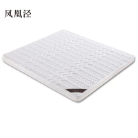 凤凰泾椰棕床垫家用棕垫6cm防螨抗菌(0胶水天然椰棕+软硬两用+全拆洗)900mm*2000mm