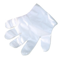 历途科技一次性PE手套均码50只/包