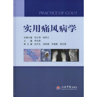 音像实用痛风病学李长贵 编
