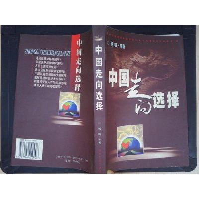 正版新书]中国走向选择杨帆9787502129996