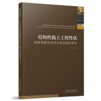音像结构黏土工程状的结构损伤及动力响应特征研究臧濛