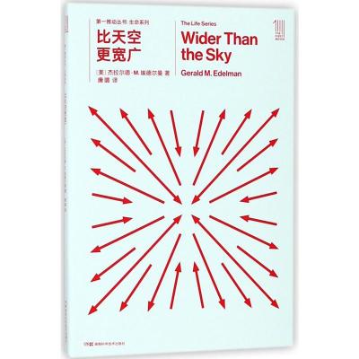 比天空更宽广/第一推动丛书生命系列