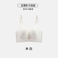 全罩杯蕾丝软钢圈调整大码内衣女抹胸防走光聚拢上托防下垂收副乳