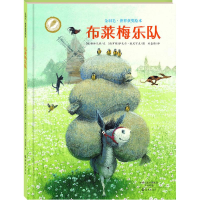 音像布莱梅乐队