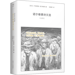 正版新书]诺尔维德诗文选(波)齐普里扬·诺尔维德 著 张振辉 译97