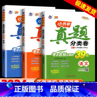 真题分类卷-语文+数学+英语 小学升初中 [正版]2024新版名校小升初真题分类卷考进名校必做的语文39套数学52套英语
