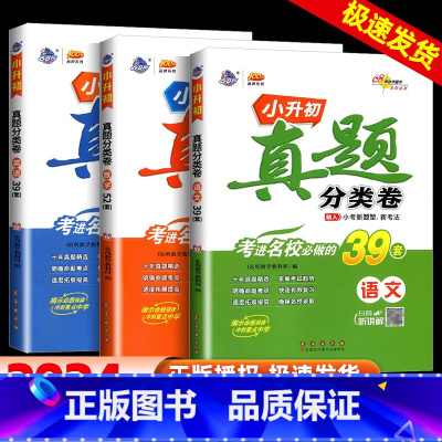 真题分类卷-语文+数学+英语 小学升初中 [正版]2024新版名校小升初真题分类卷考进名校必做的语文39套数学52套英语