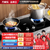 万家乐(Macro)猛火燃气双灶天然气嵌入式煤气炉头双灶台一级节能全进风大火力灶具 [防爆钢化玻璃面]AY5C天然气