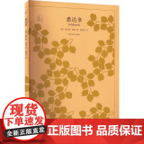 悉达多 【德】 赫尔曼黑塞 张佩芬译 译文40系列 中学生课外读物 世界经典名著小说 黑塞思想 文学作品的精华 上海译文