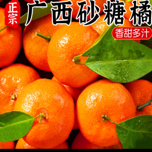 鲜贝达 广西砂糖桔带箱5斤装精品果新鲜水果