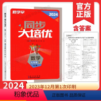 2024大培优 七下 数学 七年级/初中一年级 [正版]2024新版勤学早大培优七年级数学下册人教版RJ 勤学早大培优