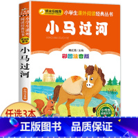 小马过河 [正版]宝葫芦的秘密二三年级必读 注音版带拼音 小学一年级阅读课外书上册下册下学期 张天翼原著完整版宝芦葫 小