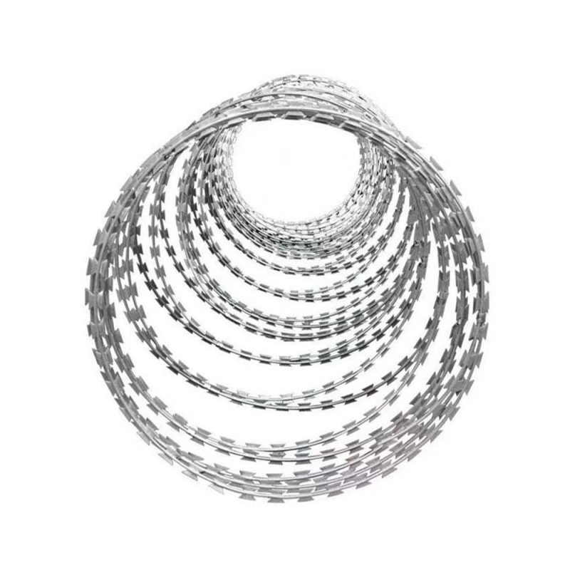 昌利达 刺丝滚笼 圈径50cm 米