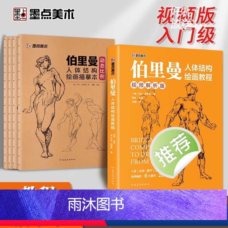 [全套]教程+描摹本 [正版]伯里曼人体结构绘画教学人体结构入门教程解剖动态骨骼透视艺考生美术生人体素描速写临摹基础初学