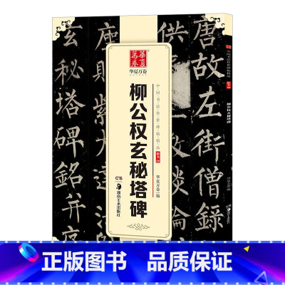 [正版] 唐柳公权 玄秘塔碑 中国传世碑帖精品 柳体楷书毛笔字帖软笔书法成人学生临摹练习古帖 简体旁注原碑原贴 书法原