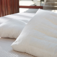 梦洁家纺 枕逸堂云荞薰衣草枕 45*70