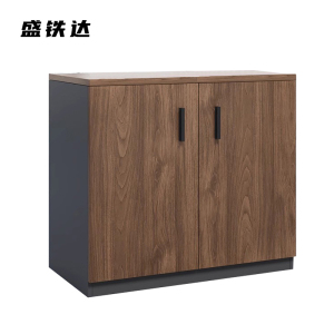 盛铁达 矮柜800*400*800mm STD-JJ177 个