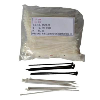 学泰 尼龙扎带 NZD-3*100