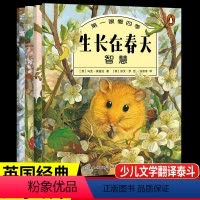 第一眼看四季(全套4册) [正版]生长在春天第一眼看四季绘本全套4册关于春天的绘本幼儿园春夏秋冬四季的变化儿童5-9岁幼