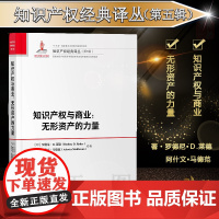正版 知识产权与商业 无形资产的力量 罗德尼•D.莱德 阿什文•马德范 知识产权出版社