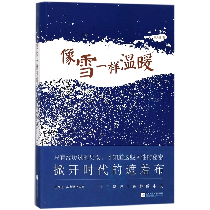 音像像雪一样温暖王大进