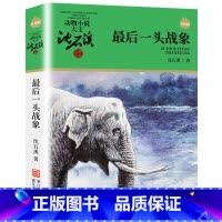 最后一头战象 [正版]沈石溪动物小说品藏书系列全集36册 斑羚飞渡第七条猎狗后一头战象雪豹悲歌珍藏版全套画本生肖