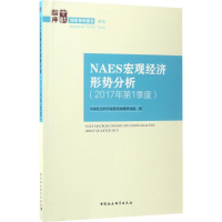 音像NAES宏观经济形势分析财经战略研究院 著