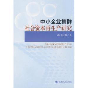 正版新书]中小企业集群社会资本再生产研究毛文静9787505876941