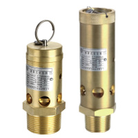 埃弗斯安全阀 空压机出口安全阀 弹簧式安全阀 A28X-16T 2分公称通径DN6 1个