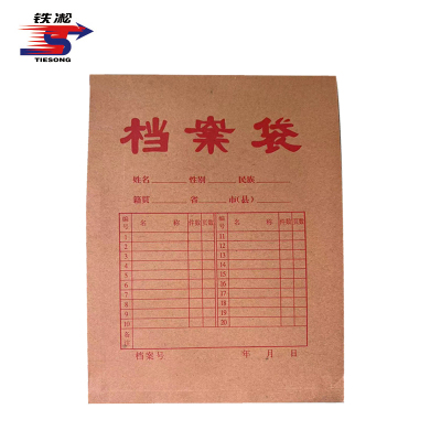 铁凇 档案袋 A4 个