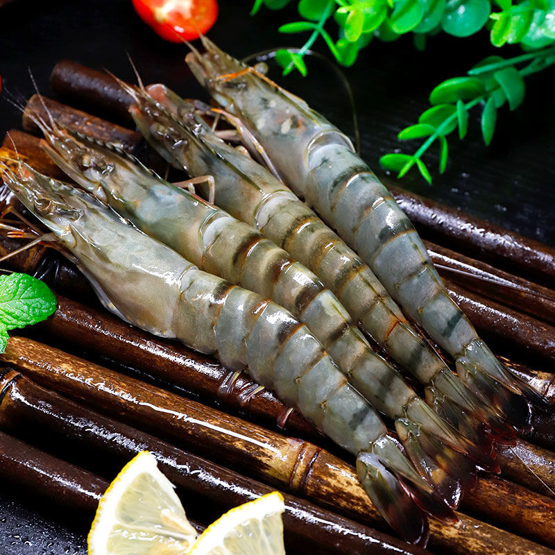 赛卡伊 [超大虾海捕]黑虎虾超大虾鲜活冷冻海虾越南虎虾特大号生呛