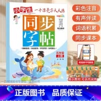 一手漂亮字天天练 小学五年级上册[单本] 小学通用 [正版]控笔小学生练字帖一年级二年级三四五六字帖上册下册笔画笔顺练语