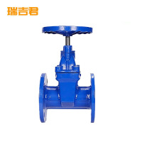 瑞吉君 软密封闸阀 DN250 单位:个