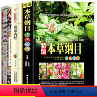 [正版]中医中草药书籍3册 精编本草纲目 中草药彩图大全 黄帝内经神农本草经白话精解中医药经典零基础学医养生调理医药药