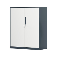 臻远 ZY-WJGC-89 文件柜窄边矮柜拆装档案柜落地书柜 925铁门灰白