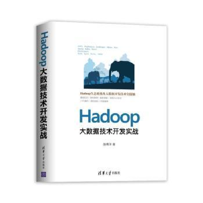 音像HADOOP大数据技术开发实战张伟洋