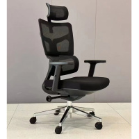 匡大办公椅高级电脑椅人体工学办公椅A2203B