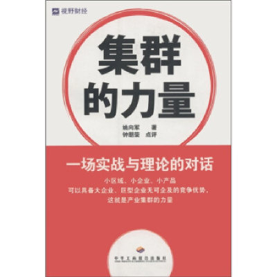 正版新书]集群的力量-一场实战与理论的对话姚向军9787801934178