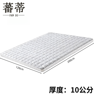 蕃蒂椰棕床垫1.2*2m张