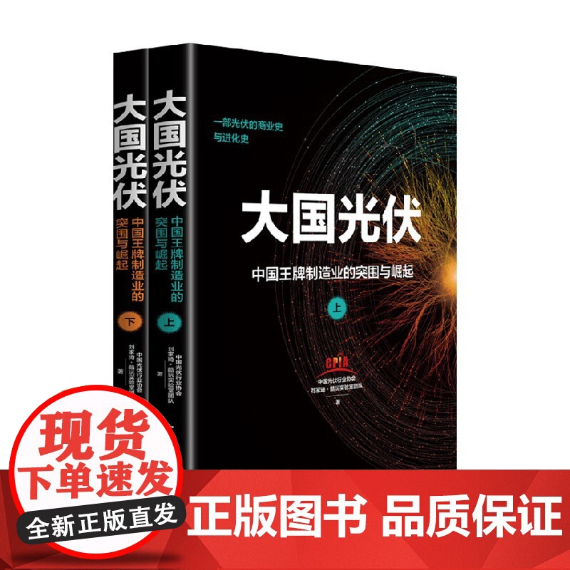 大国光伏 中国王牌制造业的突围与崛起 上 下 中国光伏行业协会 著 经济