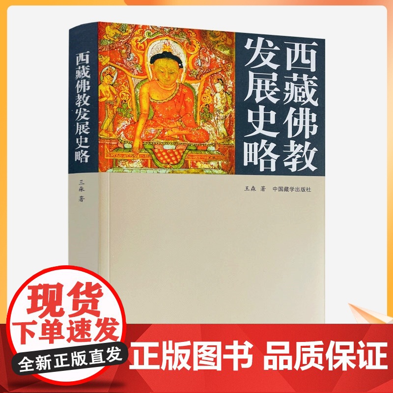 正版 西藏佛教发展史略 王森/著 中国藏学出版社