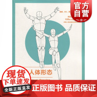 动漫游戏学院手绘人体形态 大卫H罗斯人体绘画素描解剖透视入门速写临摹插图造型动画游戏设计教程漫威DC漫画 上海人民美术出