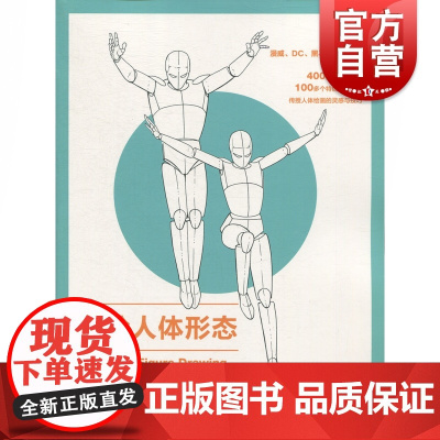 动漫游戏学院手绘人体形态 大卫H罗斯人体绘画素描解剖透视入门速写临摹插图造型动画游戏设计教程漫威DC漫画 上海人民美术出