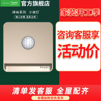 施耐德电气 开关插座 面板 小夜灯 红外感应灯 插电式LED灯 金色 灯光控制系统