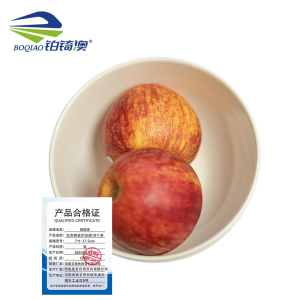 铂锜澳 白色陶瓷护边碗10个装/件