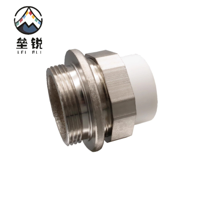 垒锐PPR热熔补芯(正反扣) 一寸 个